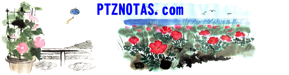PYZNOTAS.com